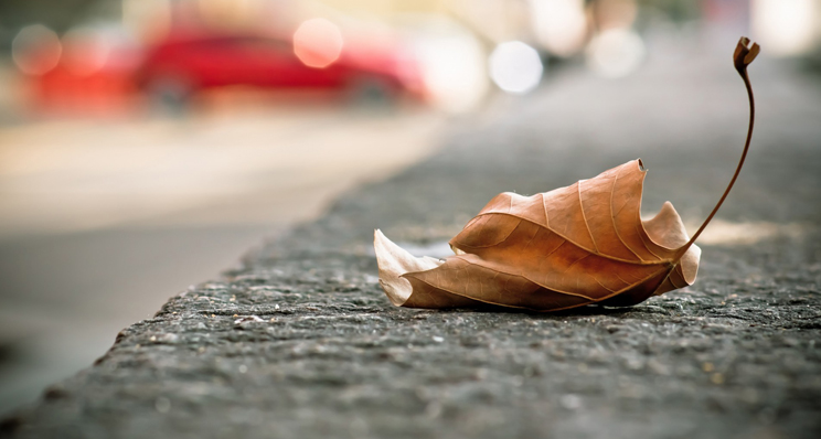 领悟”，装修后才知道的事？