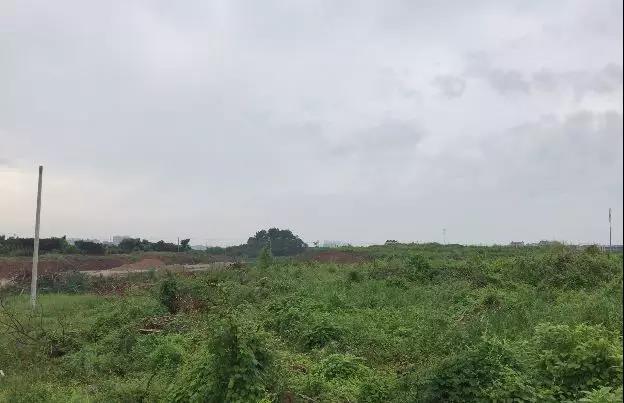 义乌双江湖再添神配套，科研用地6007万起拍！