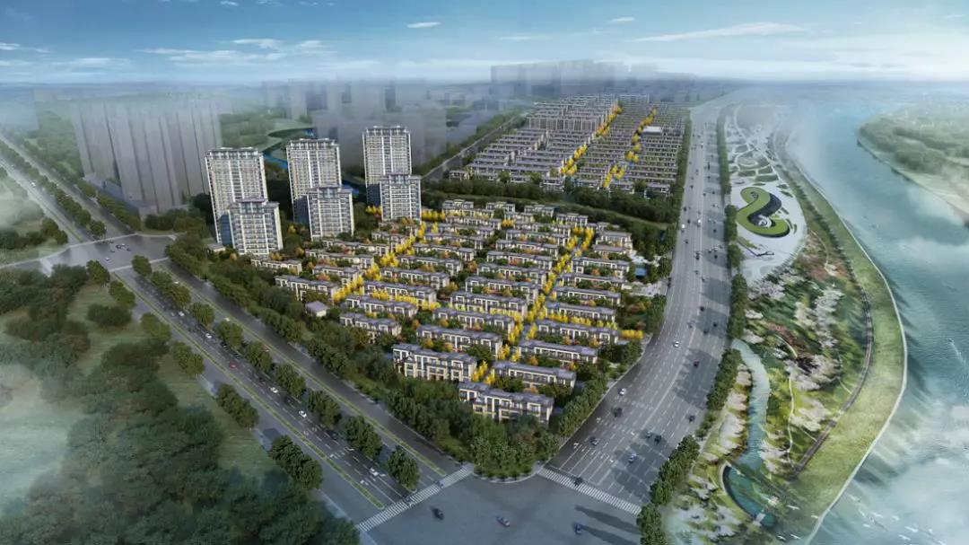 都听我的，我就是义乌今日份“流量大咖”